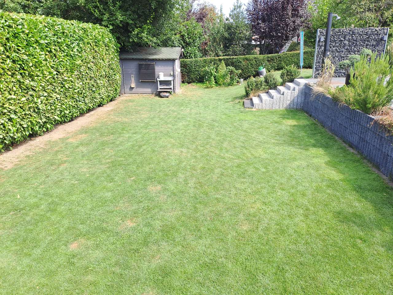 Garten 